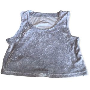 Silver Velvet Crop Top